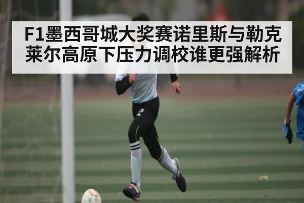 F1墨西哥城大奖赛诺里斯与勒克莱尔高原下压力调校谁更强解析